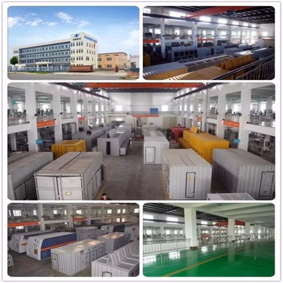 1 año de garantía y banco de carga ficticio de 400 V y 3 MW